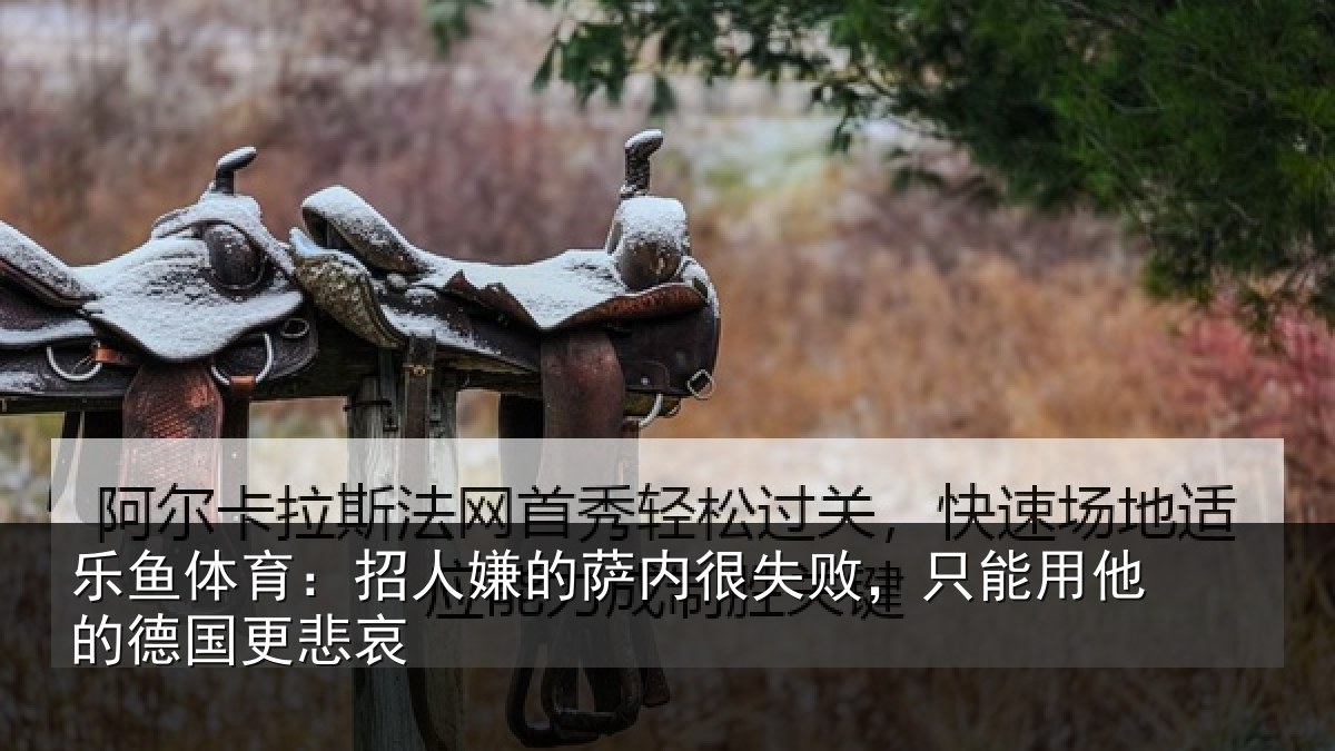 乐鱼体育：招人嫌的萨内很失败，只能用他的德国更悲哀