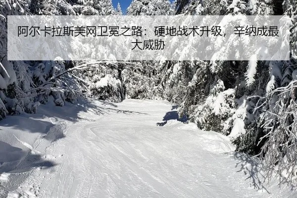 a-er-ka-la-si-mei-wang-wei-mian-zhi-lu-ying-di-zhan-shu-sheng-ji-xin-na-cheng-zui-da-wei-xie-3-264.jpg