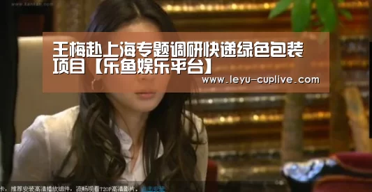 王梅赴上海专题调研快递绿色包装项目【乐鱼娱乐平台】(图1) 乐鱼娱乐平台