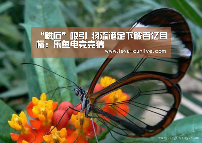 “磁石”吸引 物流港定下破百亿目标：乐鱼电竞竞猜