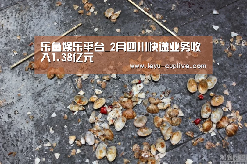 乐鱼娱乐平台_2月四川快递业务收入1.38亿元(图4) 乐鱼娱乐平台